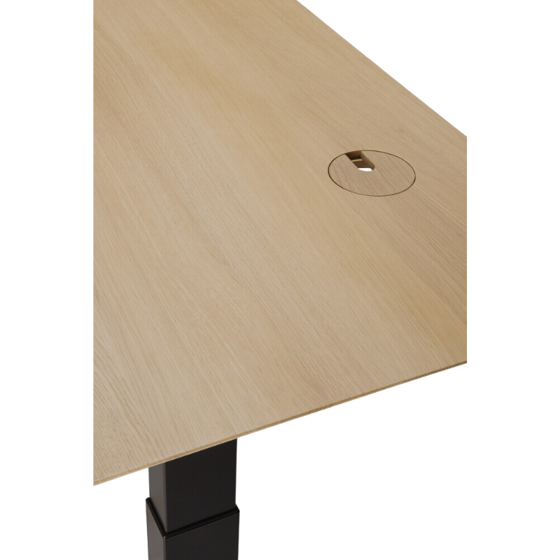 The Bok adjustable sit-stand desk was designed with the importance of health and good posture in mind at the office or in your home office. The motorized system in its legs allows the solid oak tabletop to be elevated to the height of your liking. That way, you can easily switch between sitting and standing throughout the workday.