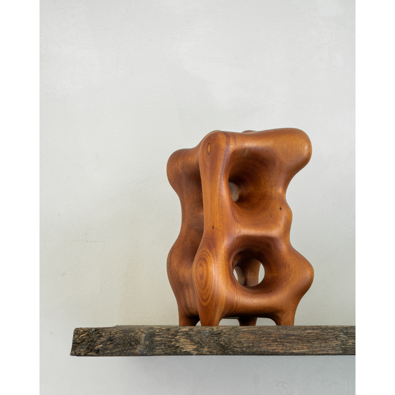 The contemporary sculptures series was crafted by our in-house master sculptor, Hartoyo. In each piece, the solid sycamore wood is sublimed into geometric and organic shapes. Beautiful from every angle and with the changing light of the day, these intriguing pieces will layer meaning into your home.