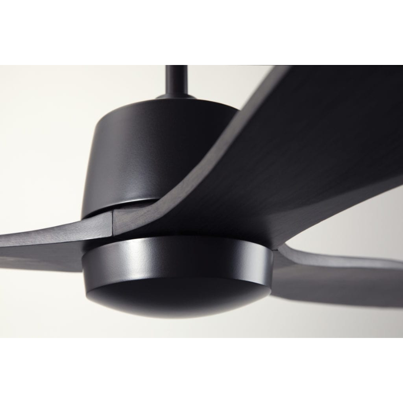 The Arbor DC - 54" ceiling fan by Modern Fan Co. in a photograph showing the dark bronze and ebony choices with a focus on the blades.
