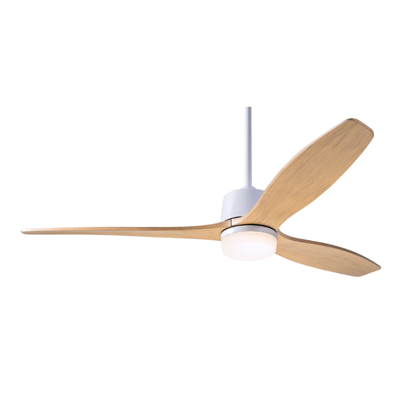 The Arbor DC LED - 54" ceiling fan by Modern Fan Co. with the gloss white body and maple blades.