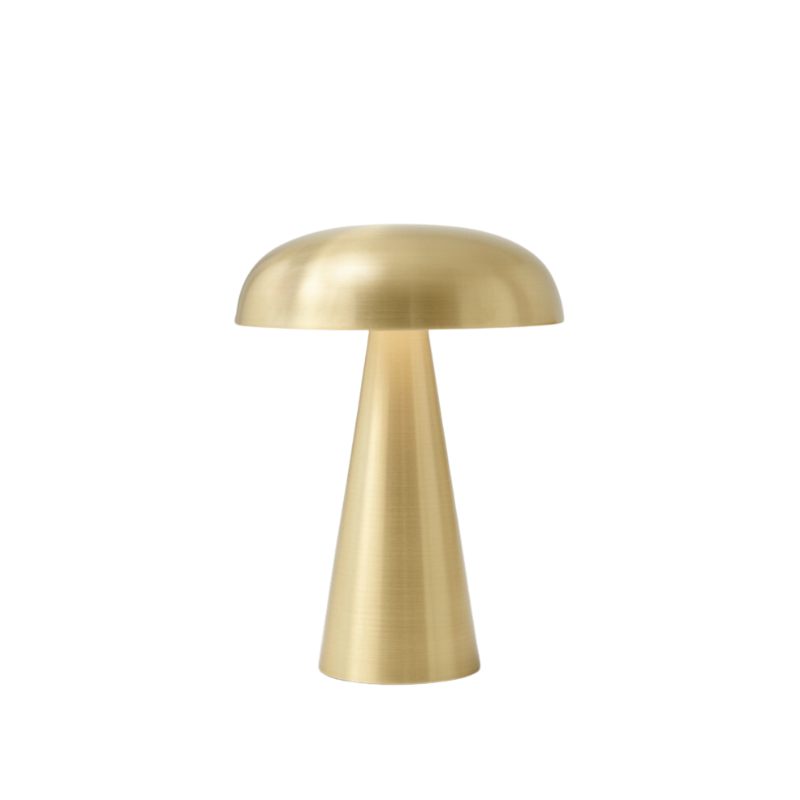 The Como SC53 from &Tradition in brass.