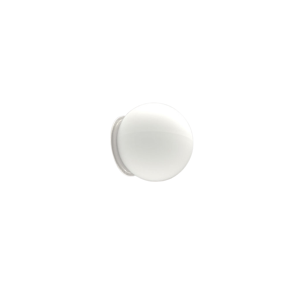 The Dioscuri Wall / Ceiling Light from Artemide in the size small.