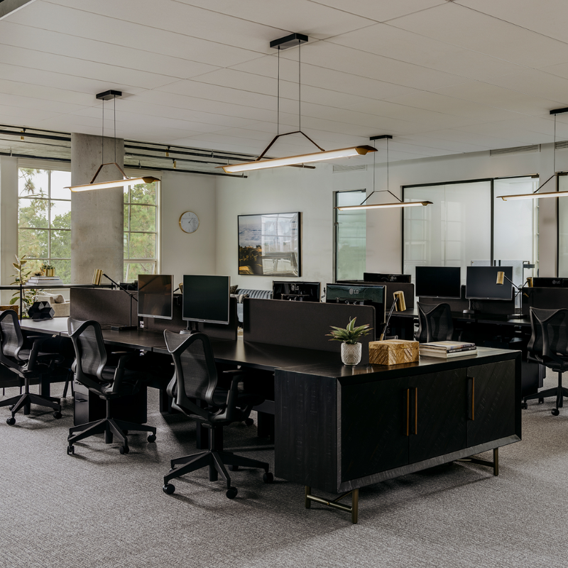 The Penna Linear Pendant from Cerno in a commercial space.