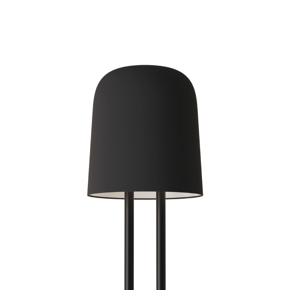 The carbon Gio Floor Light from Gantri with the black rod option.