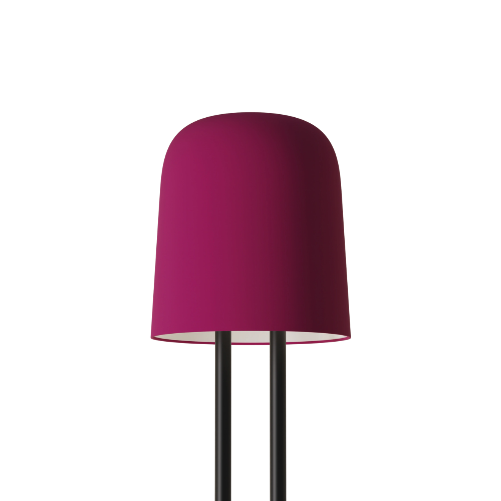 The hibiscus Gio Floor Light from Gantri with the black rod option.