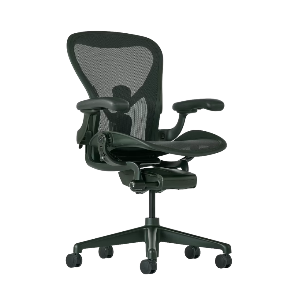The Aeron Chair from Herman Miller with the adjustable Posturefit SL back support in Jasper / Jasper.