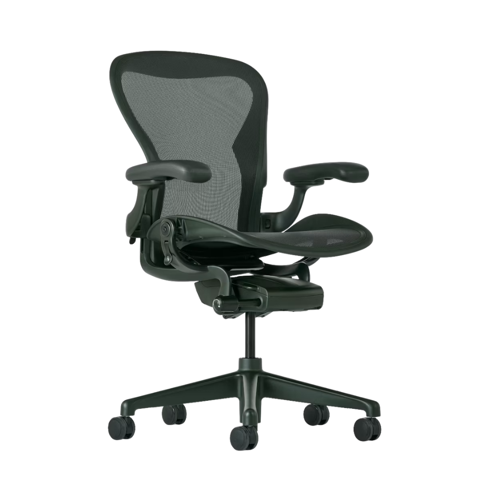 The Aeron Chair from Herman Miller with Basic Back support in Jasper / Jasper.