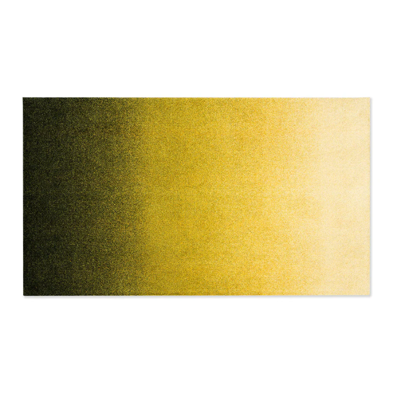 The Dis Doormat from Heymat 57 x 32 inch size in moss.