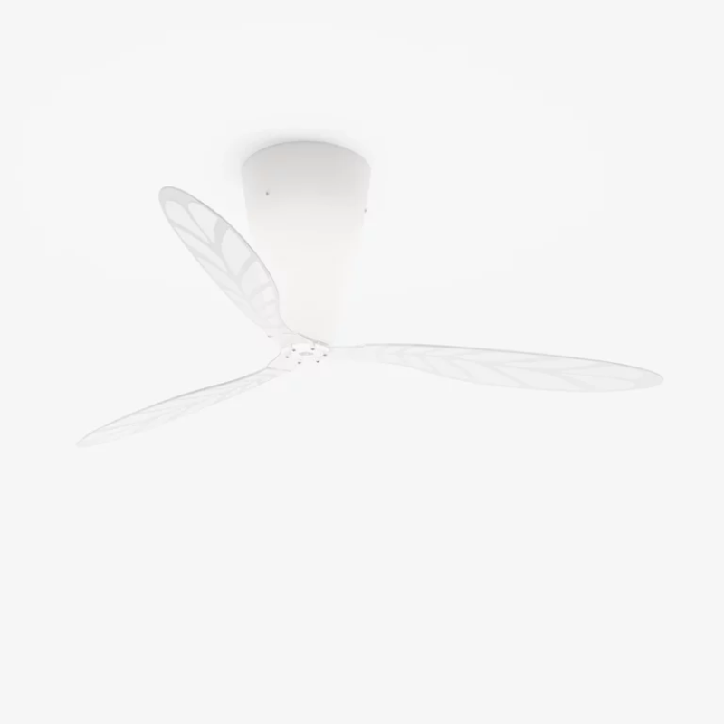 The Blow Ceiling Fan from Luceplan with screenprinted blades in a studio.