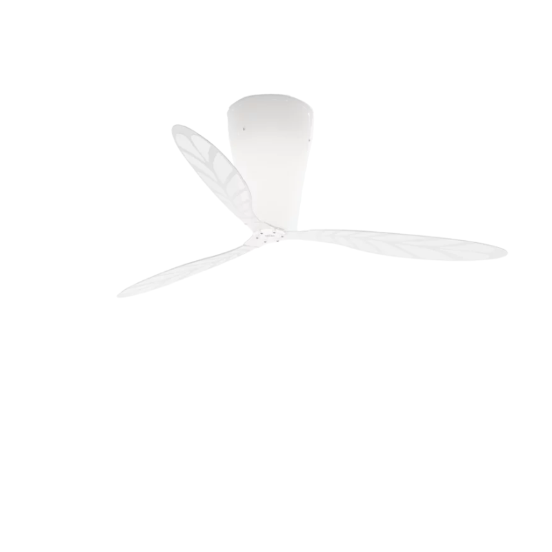 The Blow Ceiling Fan from Luceplan with screenprinted blades.