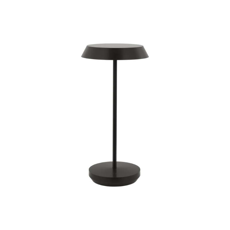The Tepa Accent Rechargeable Table Lamp from Visual Comfort and Co in bronze.