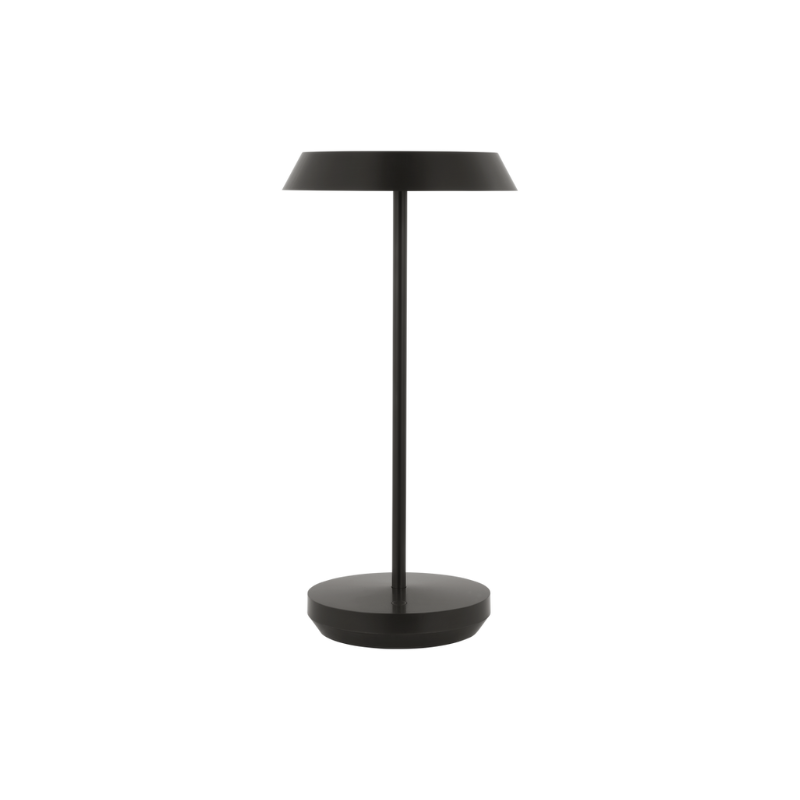 The Tepa Accent Rechargeable Table Lamp from Visual Comfort and Co in bronze from the front.