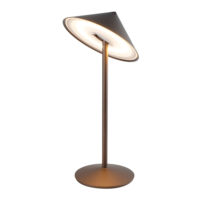 The Pina L Desk Lamp from Zafferano in bronze.