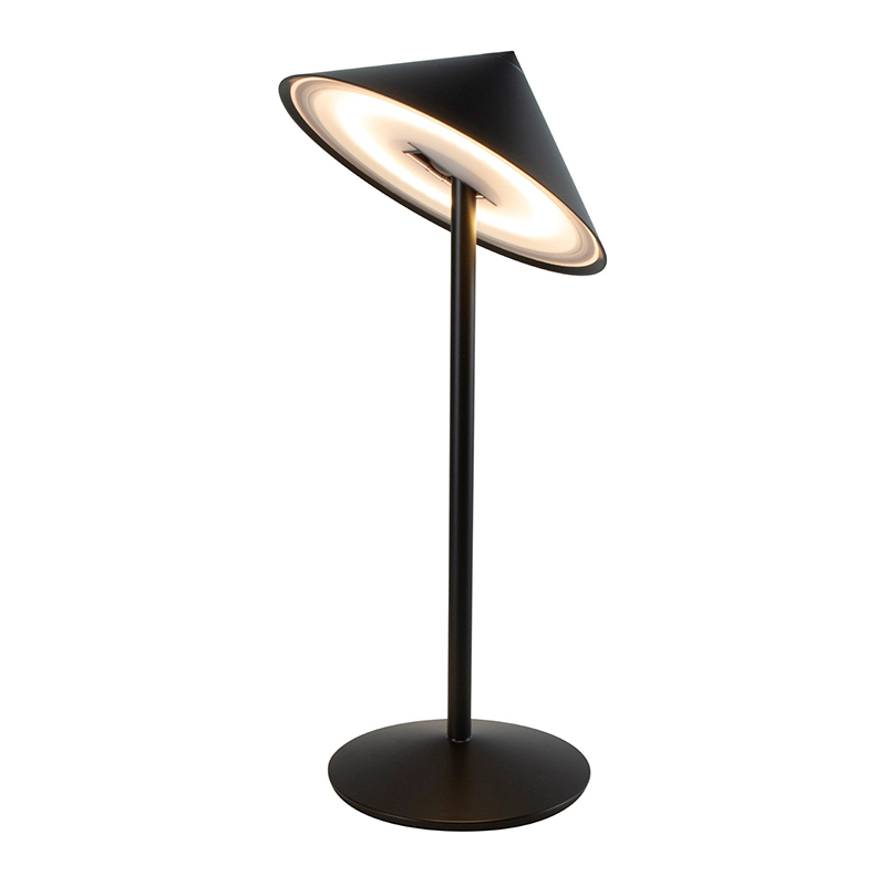 The Pina L Desk Lamp from Zafferano in titanium.
