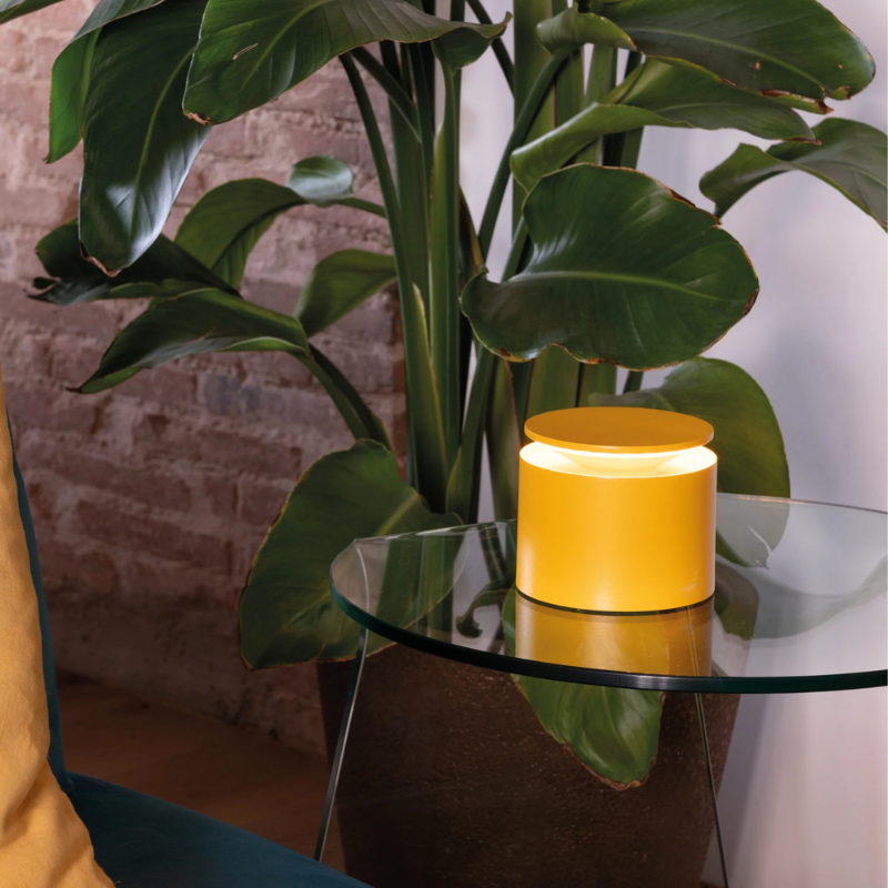 The sunflower PushUp Pro from Zafferano in a den.