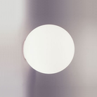 The Dioscuri Wall / Ceiling Light from Artemide in the size medium.