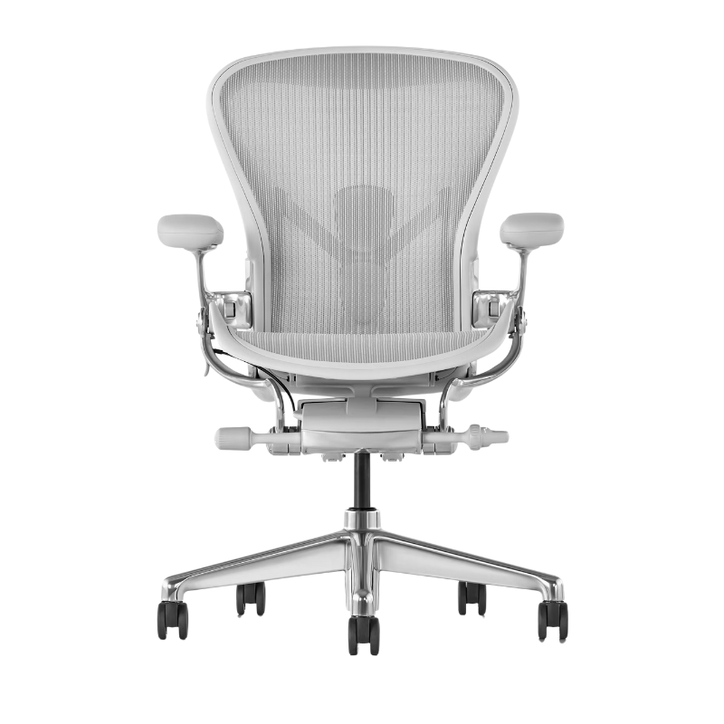 The Aeron Chair from Herman Miller with the adjustable posturefit SL back support in mineral and polished aluminum.