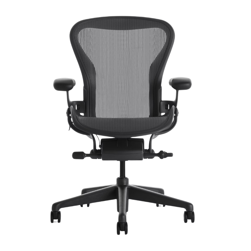 The Aeron Chair from Herman Miller with the basic back support in graphite and graphite.