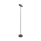 The Royyo Floor Lamp from Koncept with the matte black body and oiled walnut base.