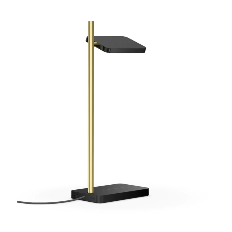 The Talia Table from Pablo Designs in black and brass, shot from behind.