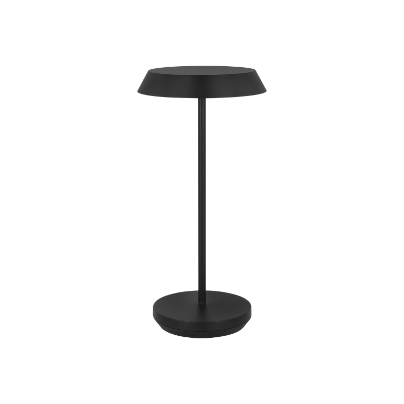 The Tepa Accent Rechargeable Table Lamp from Visual Comfort and Co in black.