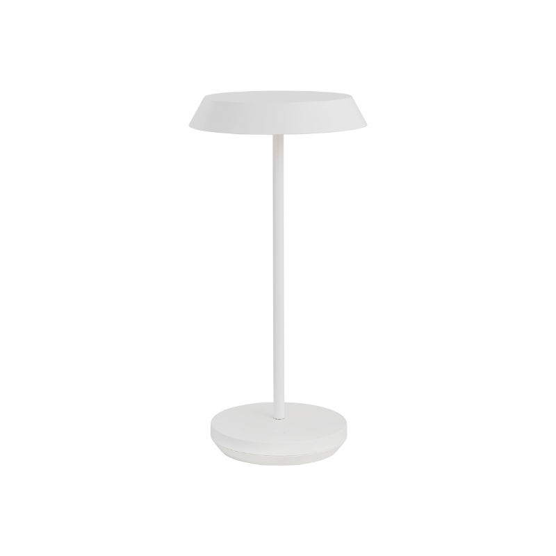 The Tepa Accent Rechargeable Table Lamp from Visual Comfort and Co in matte white.