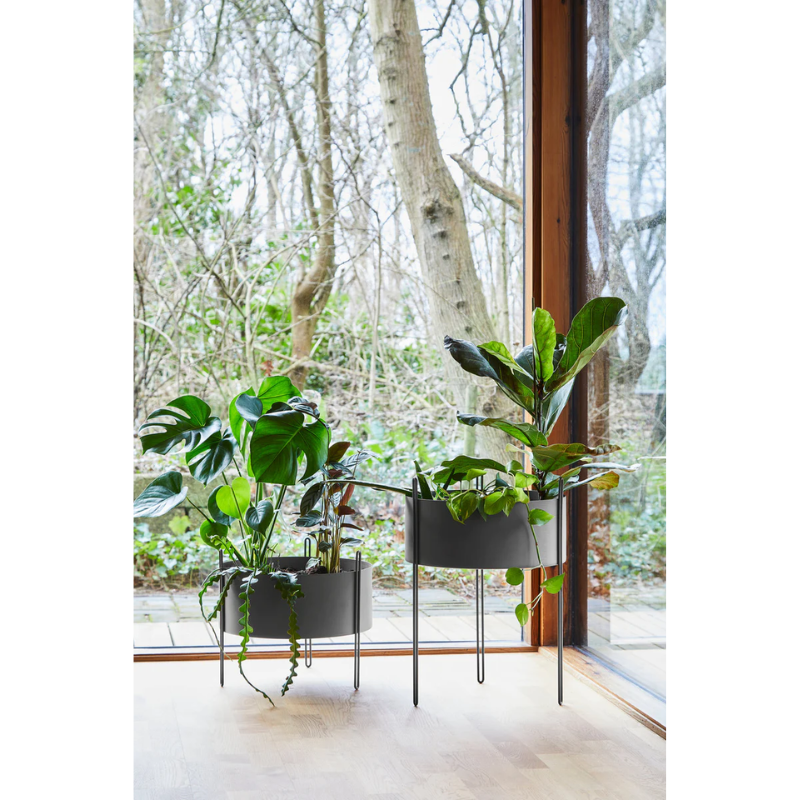 The medium and large Pidestall Planters from Woud with plants inside of them in front of a window.