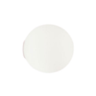The Dioscuri Wall / Ceiling Light from Artemide in the size medium.