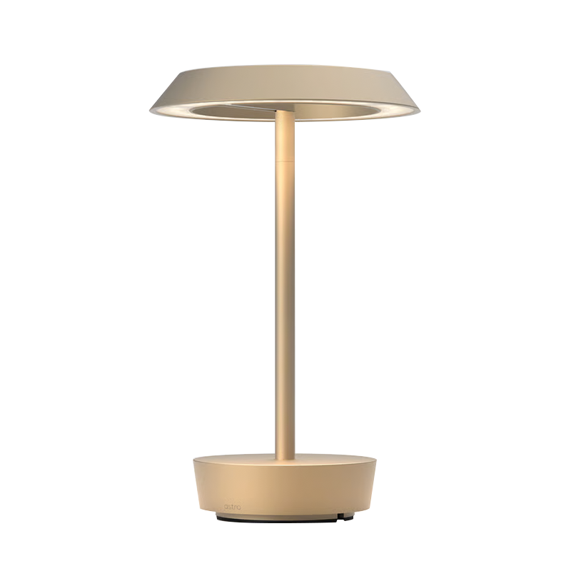 The Halo Portable Lamp from Astro Lighting in light bronze.