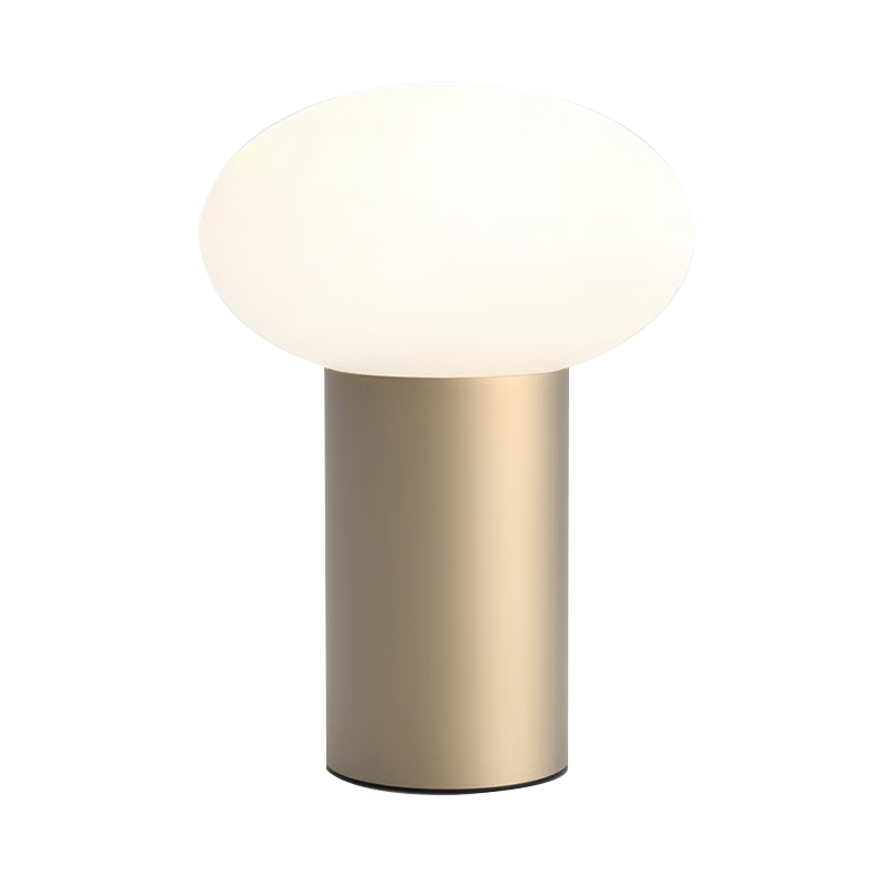 The Zeppo Portable Lamp from Astro Lighting in light bronze.
