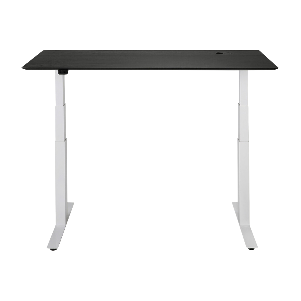 The Bok Adjustable Desk Black Oak 55 Inches with White Legs from Ethnicraft, extended up.