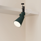 The forest Aim Clamp Light from Gantri with the black clamp.