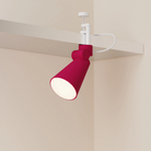 The hibiscus Aim Clamp Light from Gantri with the white clamp.