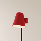 The canyon Aim Floor Light from Gantri with the black rod option.