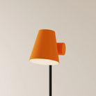 The persimmon Aim Floor Light from Gantri with the black rod option.