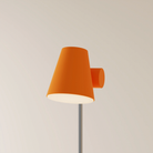 The persimmon Aim Floor Light from Gantri with the chrome rod option.