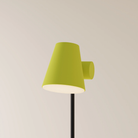 The sprout Aim Floor Light from Gantri with the black rod option.