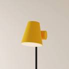 The sunrise Aim Floor Light from Gantri with the black rod option.