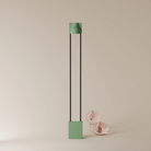 The sage Carve Floor Light from Gantri with the black rod option.