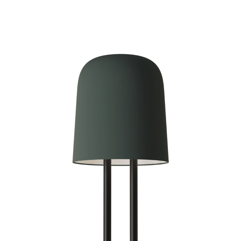 The forest Gio Floor Light from Gantri with the black rod option.