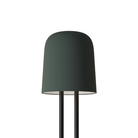 The forest Gio Floor Light from Gantri with the black rod option.