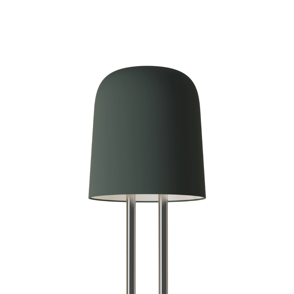 The forest Gio Floor Light from Gantri with the chrome rod option.