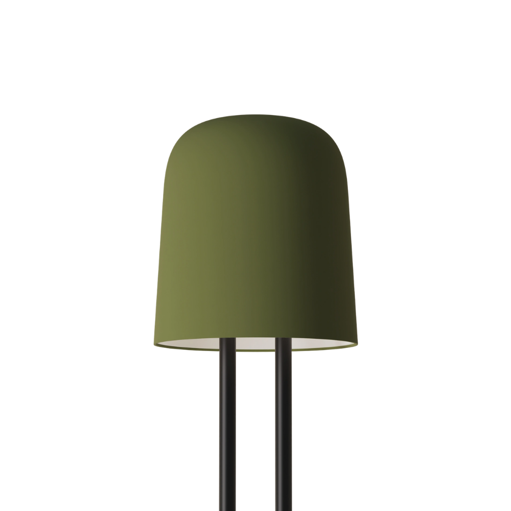 The olive Gio Floor Light from Gantri with the black rod option.