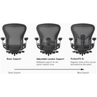 The back support options for the Aeron Chair from Herman Miller. all-groups