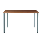 The 24 x 48 OE1 Table from Herman Miller with the glacier frame and walnut veneer table top. 