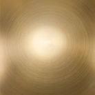 The satin brass finish for a down rod coupler from The Modern Fan Co.