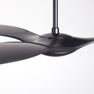 The matte black IC/Brisa DC - 56″ from Modern Fan Co. focusing on the blades within a living space.