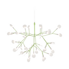 The small green Heracleum III Suspended from Moooi.