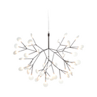 The small nickel Heracleum III Suspended from Moooi.