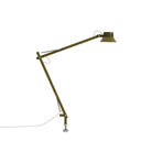 The large brown green Dedicate Table Lamp from Muuto with the pin base.
